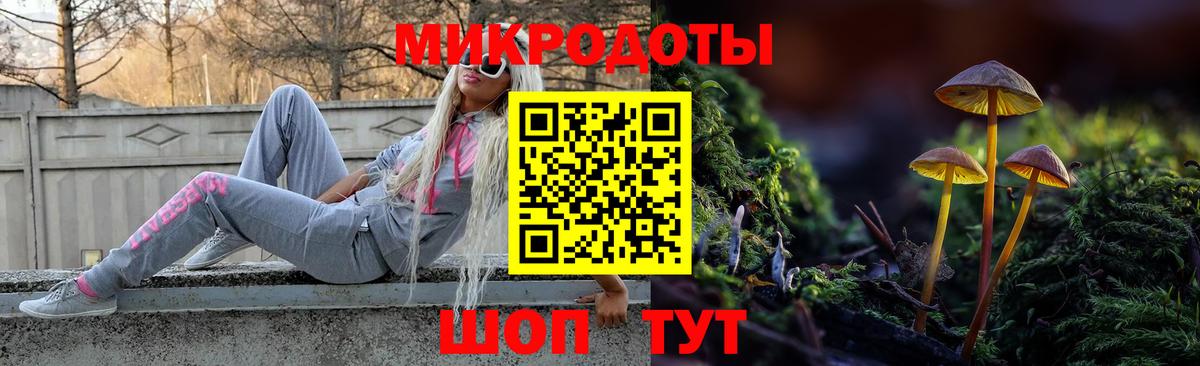 Галлюциногенные грибы Psilocybine cubensis Богородицк