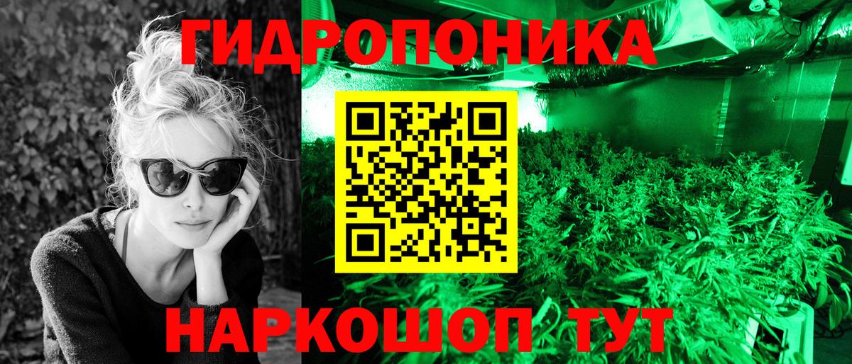 Конопля сатива Богородицк
